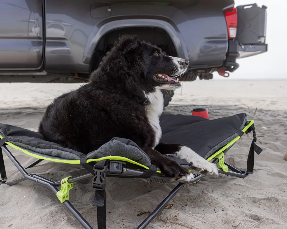 Quick Fold Dog Bed With Padded Mat 1