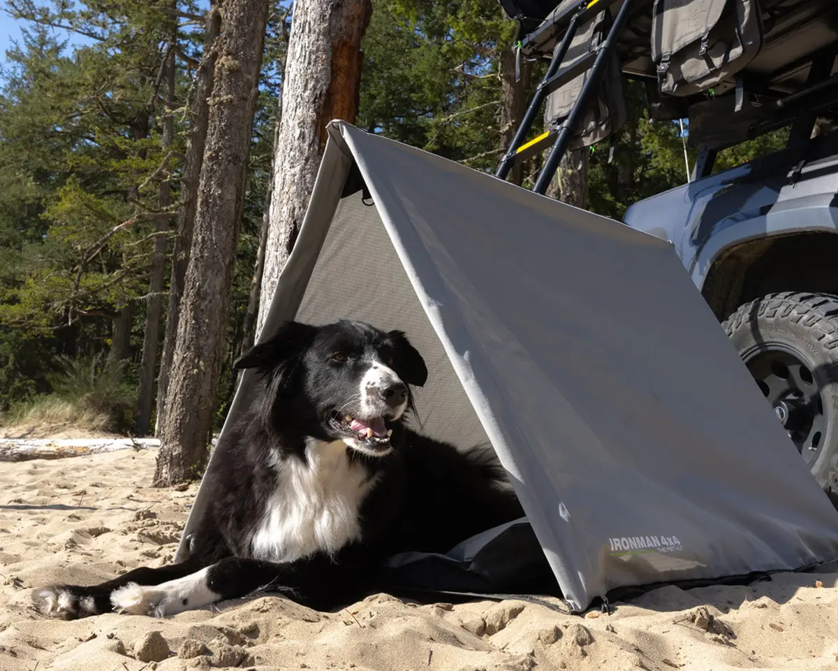 The Pet Hut | Dog Swag Tent 1