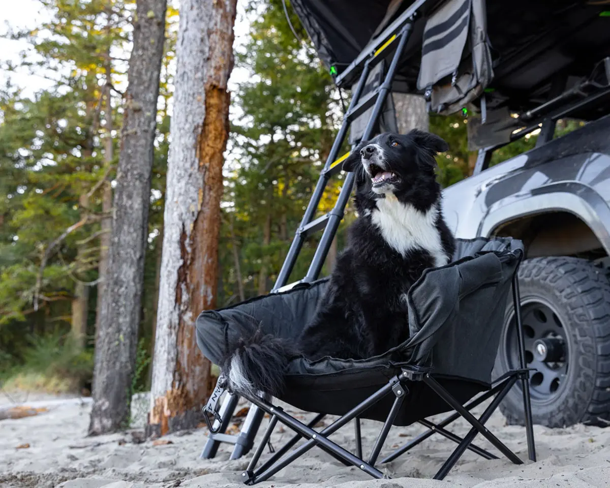 The Pet Lounger | Quick Fold Dog Camp Chair 1