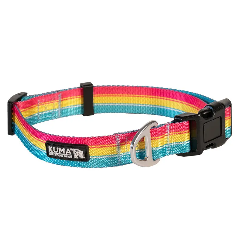 Kuma Backtrack Dog Collar 1
