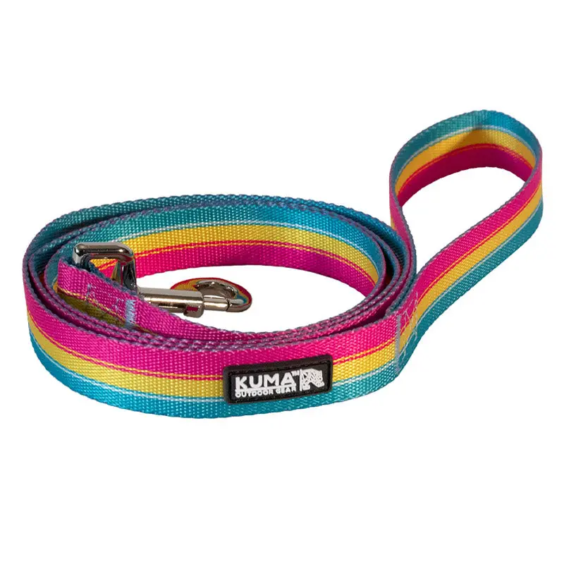 Kuma Backtrack Dog Leash 1