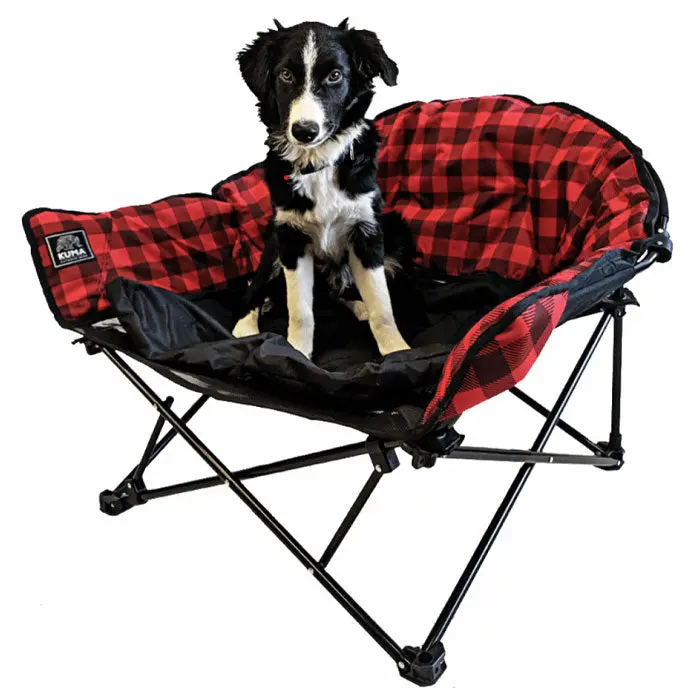 Kuma Lazy Bear Dog Bed 1