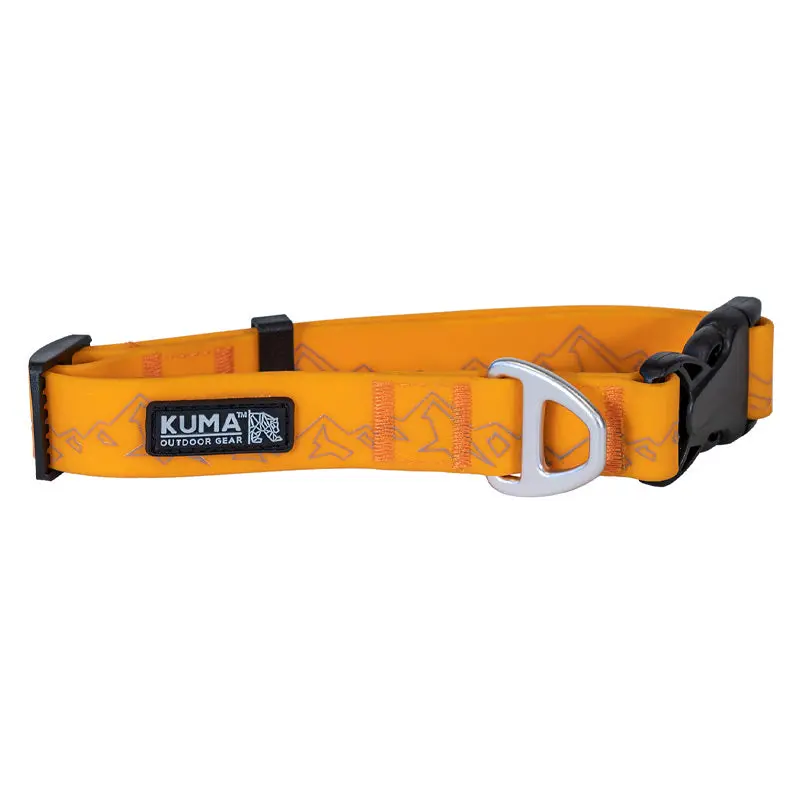 Kuma Soggy Dog Collar 1